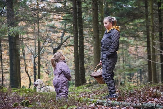 A family with a dog walks in the forest in Denmark.