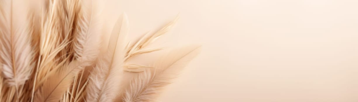 Elegant beige pampas grass plumes on a smooth beige background with ample copy space, evoking a serene and natural aesthetic. Boho style. Natural backdrop with pastel colors. Banner. Generative AI