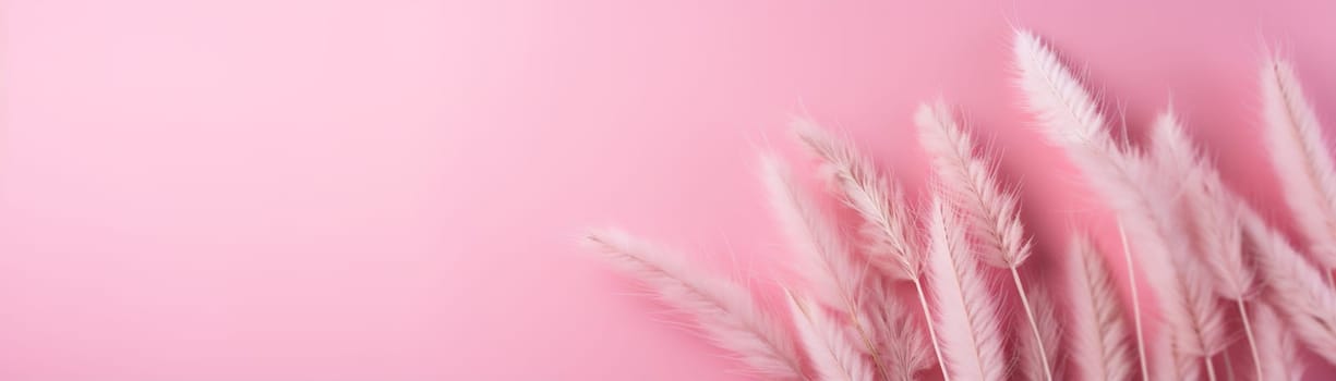 White pampas grass plumes against a soft pink background, embodying a delicate and feminine charm, ideal for gentle and airy themes. Natural backdrop with copy space. Banner. Generative AI