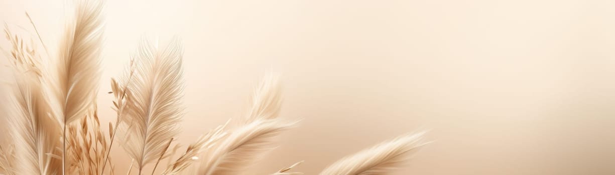 Elegant beige pampas grass plumes on a smooth beige background with ample copy space, evoking a serene and natural aesthetic. Boho style. Natural backdrop with pastel colors. Banner. Generative AI