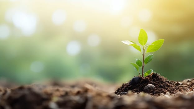 A tiny seedling breaks through the earth's surface, emerging into the light - AI Generative