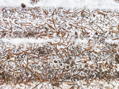 Background with frozen snow and spruce needles. Winter texture, pattern, frame, copy space, place for text