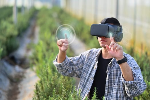 Male farmer with VR headset in rosemary field. Innovative technologies and futuristic agriculture concept.