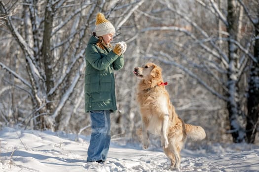 Little Girl Golden Retriever, Who Jumps In Winter Forest, Plays With Snow In Snow-Covered Forest