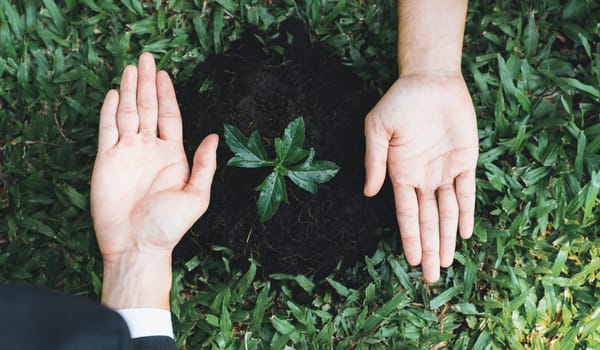 Top view group of businesspeople grow and nurture plant together on fertilized soil concept of eco company committed to CSR corporate social responsible principle, reducing CO2 emission. Gyre