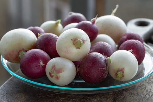 Organically grown fresh White and Purple colorful radishs. A vibrant and peppery radish medley, European radishes (Raphanus sativus), Freshly harvested, Copy space, Selective focus.