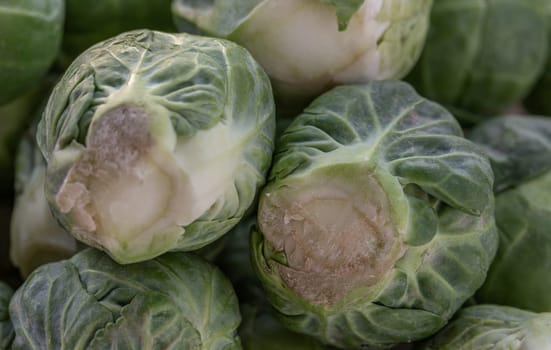 Close-up of Fresh raw organic Green brussel sprouts vegetable on Wooden cutting board with Natural sunlight. Uncooked brussels sprouts, Copy space, Selective focus.