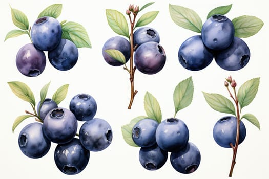 hand drawn watercolor blueberries isolated on white background. AI Generated