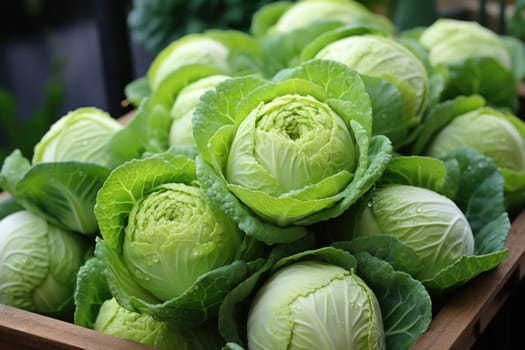 watercolor cabbage isolated on dark background, AI Generated