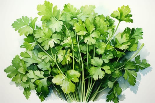 Watercolor parsley on white background . AI Generated