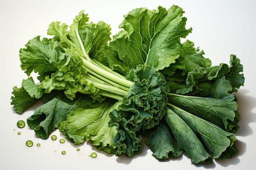 Watercolor kale on white background . AI Generated