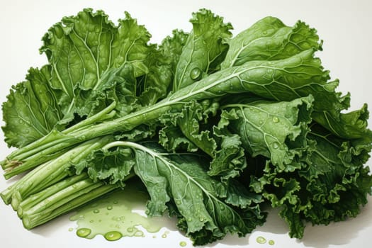 Watercolor kale on white background . AI Generated