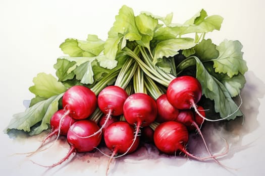 watercolor radish isolated on white background, AI Generated