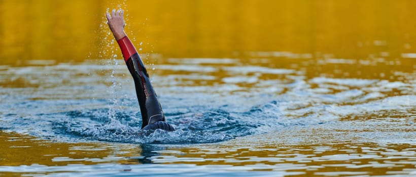 Triathlon athlete swimming on lake in sunrise wearing wetsuit. High quality photo