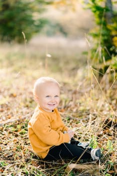 Smiling little boy sitting in a sunny meadow. High quality photo