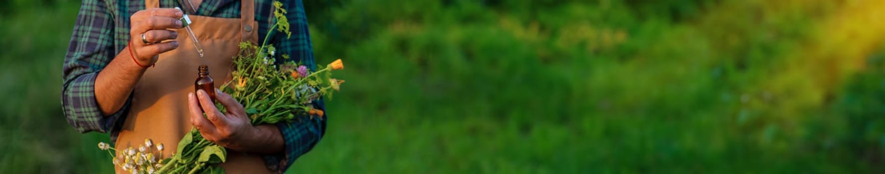 A man collects medicinal herbs in a field. Selective focus. Nature.