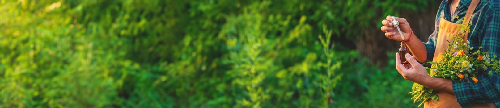 A man collects medicinal herbs in a field. Selective focus. Nature.