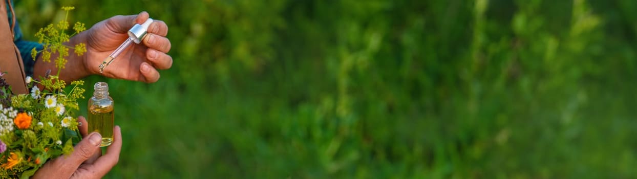 A man collects medicinal herbs in a field. Selective focus. Nature.