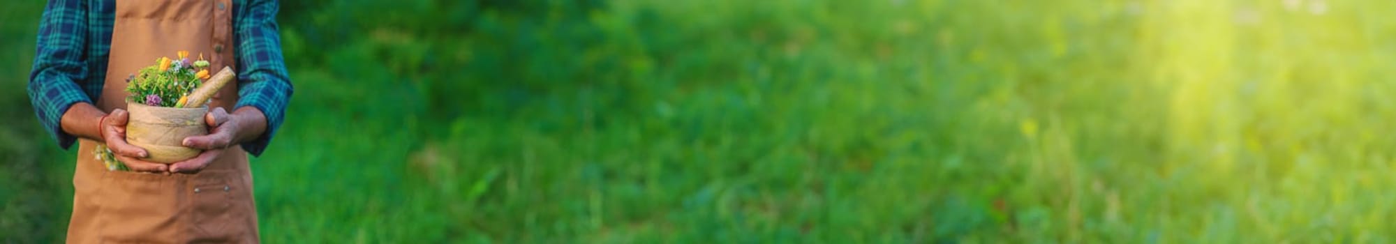 A man collects medicinal herbs in a field. Selective focus. Nature.