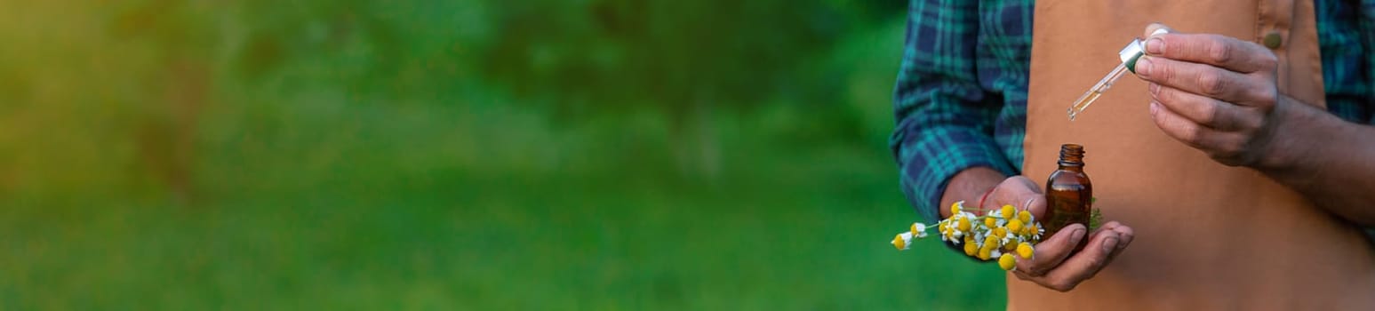 A man collects medicinal herbs in a field. Selective focus. Nature.