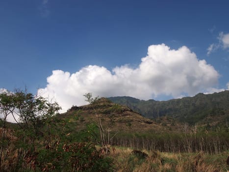 A dry and barren mountain landscape in Oahu, Hawaii, with shrubs and bushes in the foreground and a blue sky with clouds in the background.