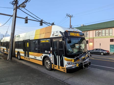 Honolulu - November 3, 2022: Honolulu city bus parked on the side of the street with a green building in the background. The bus is a New Flyer Xcelsior model with a bike rack on the front and a destination sign that reads "Kahala Mall".