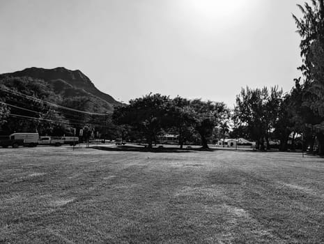 Honolulu - November 9, 2023: A monochrome photo of Kaipolani Park, a public park in Honolulu, Hawaii. The park offers a spacious area for recreation and relaxation, with green grass, tall trees, and a view of the mountains. The photo captures the contrast between the natural and the urban elements of the park, such as the power lines and the buildings.