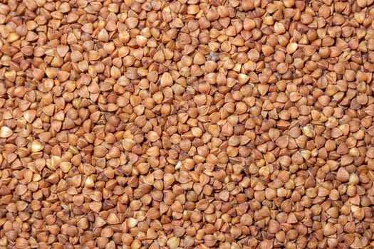 Dry Uncooked Brown Buckwheat Groats Background - Top View, Flat Lay. Raw Large Buckwheat Grains. Russian, Ukrainian and Belarusian Culture