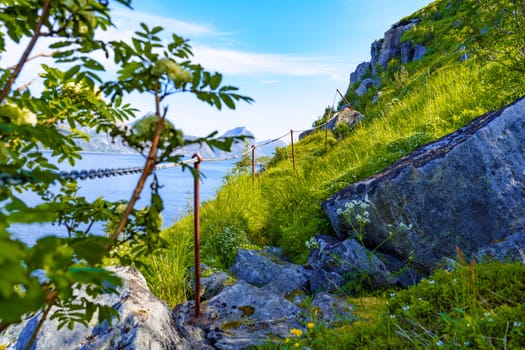 A weathered wooden ladder stands beside a rocky trail, leading through the serene, picturesque mountains of Norway, incorporating the idea of health and fitness into the majestic natural scenery.