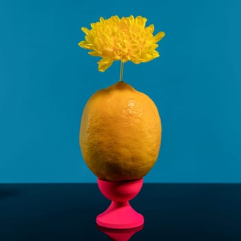 Creative still life with lemon and yellow flower on a blue background