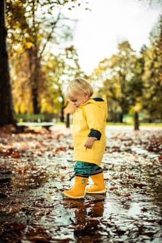 Small blond infant boy wearing yellow rubber boots and yellow waterproof raincoat walking in puddles on a overcast rainy day. Child in the rain