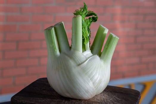 Fresh organic fennel vegetable on wooden cutting board with natural sunlight. Raw Organic Fennel Bulb, Healthy and benefits of Florence fennel bulb, Space for text, Selective focus.