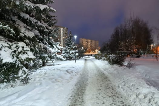 Fragment of winter city spruce park in Moscow, Russia