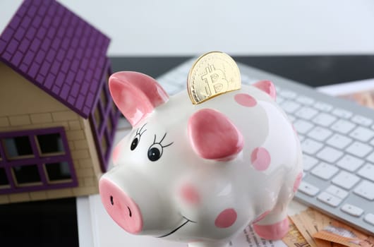 Souvenir coin bitcoin in piggy bank in the form of a pig against the background of euro banknotes and a keyboard