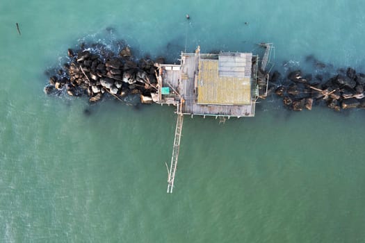 Aerial photographic documentation of the ancient fishing stations at the mouth of the Arno river Tuscany Italy 