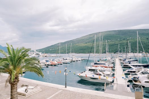 Yachts stand in rows along the piers of a luxurious marina against the backdrop of green mountains. High quality photo