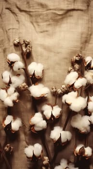 Cotton plant flowers lies on burlap background texture. top view. harvest and cotton fabric linen. Fluffy fibers in flower balls on branch, white canvas. Weaving material for textile production, light industry vintage filter design background antique