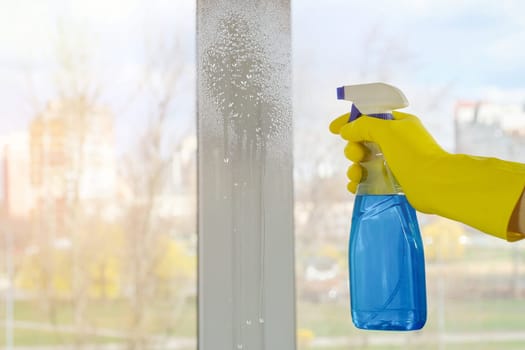 Female hand in a yellow glove and detergent on the background of a window. Cleaning windows with a cleaner. Cleaning concept.