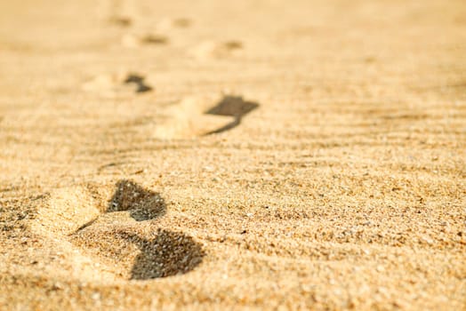 Barefoot footprints on the beach. Footprints in the sand. Beach walk.