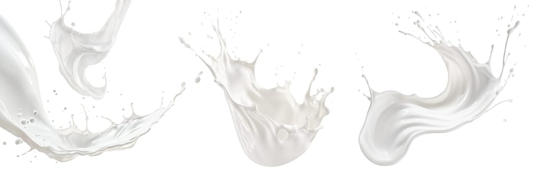 Set of milk splashes isolated on transparent background. Milk splashes and drops flying in different directions isolated on a white background. High quality photo