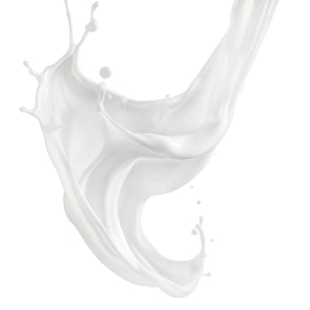 Milk splashes isolated on transparent background. Milk splashes and drops flying in different directions isolated on a white background. Splashes of white liquid. High quality photo