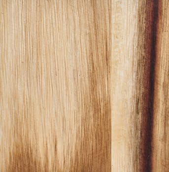 Pine wood texture, full frame