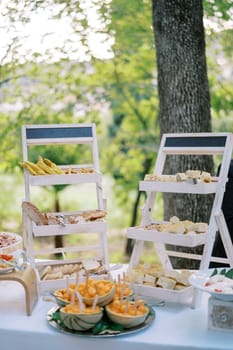 Pull-out shelves with sliced pastries on a served table in the park. High quality photo