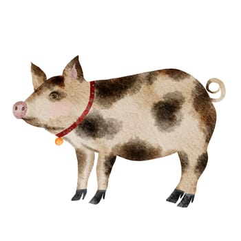 Watercolor drawing of a multi-colored cute pig. Isolate vintage pig with medallion on white background. For printing on posters and children's cards.