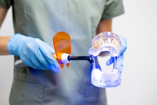Dentist demonstrates how to use dental curing light on model jaw.