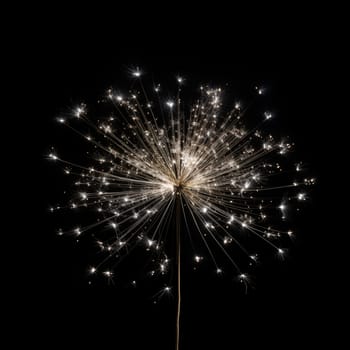 Beautiful silver Bengal fire isolated on black background .