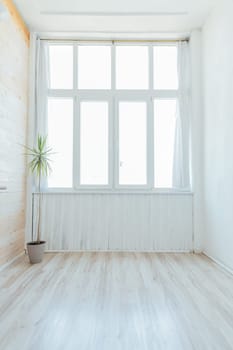 Bright room with a large window and a room flower