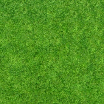 Top view of green grass with a short-cropped texture