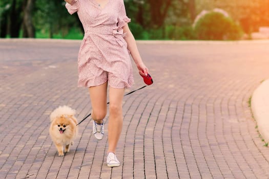 Portrait of a young glamorous female wearing pink dress holding her cute pomeranian spitz on hands. . Friendship between dogs and humans.