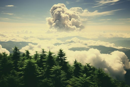 Beautiful view from above of a coniferous forest and sky with clouds.